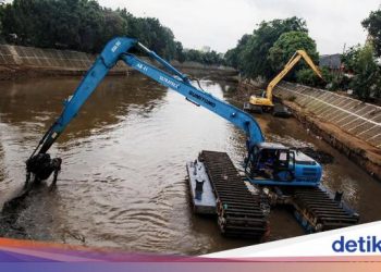 PDIP dan Revitalisasi Sungai Ciliwung