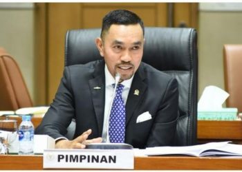 Sahroni soal Dirinya Maju di Pilkada DKI Jakarta: Gua Mimpinya Presiden